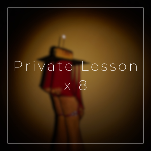 Private Lesson 8 x 60 min